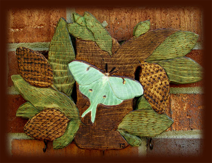 luna moth key holder pyrography tanja sova