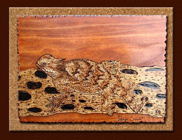 horned lizard pyrography tanja sova