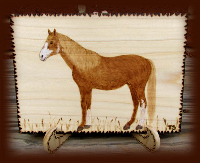 Sony horse pyrography tanja sova