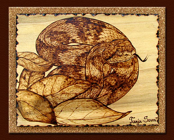 copperhead tanja sova pyrography