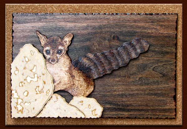 ringtail tanja sova pyrography