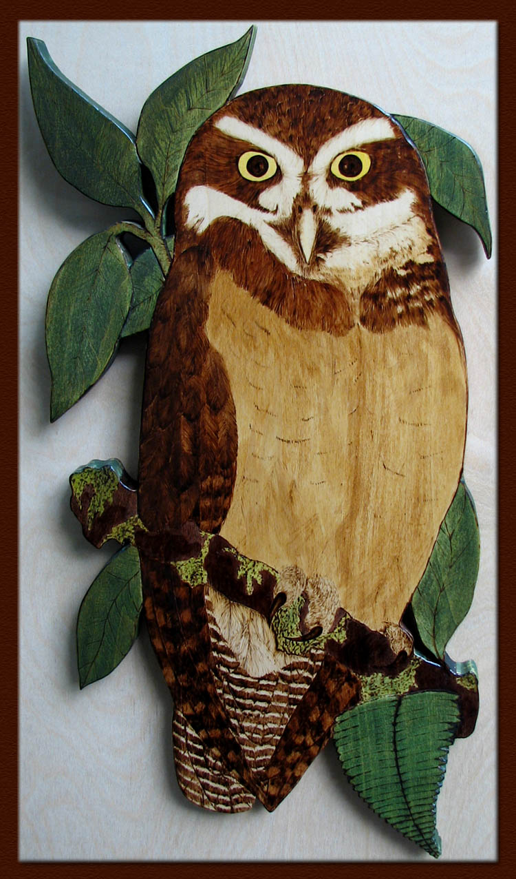 spectacled owl tanja sova pyrography
