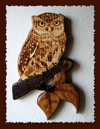 little owl tanja sova pyrography 