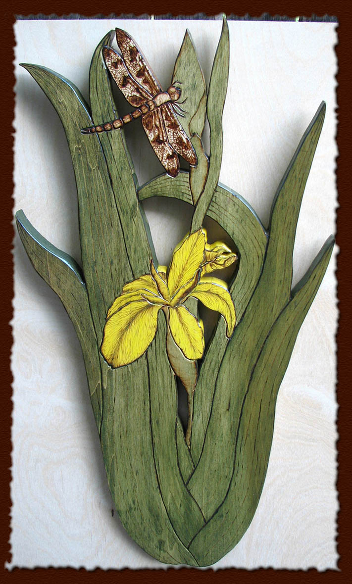 dragonfly iris tanja sova pyrography